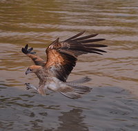 Litchfield and Jumping Crocodiles Full Day Trip from Darwin - St Kilda Accommodation