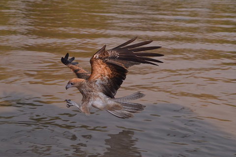 Litchfield And Jumping Crocodiles Full Day Trip From Darwin - St Kilda Accommodation 0
