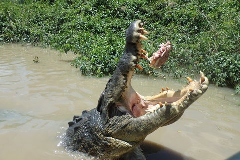 Litchfield And Jumping Crocodiles Full Day Trip From Darwin - St Kilda Accommodation 3