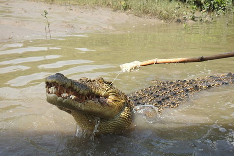 Litchfield And Jumping Crocodiles Full Day Trip From Darwin - St Kilda Accommodation 4