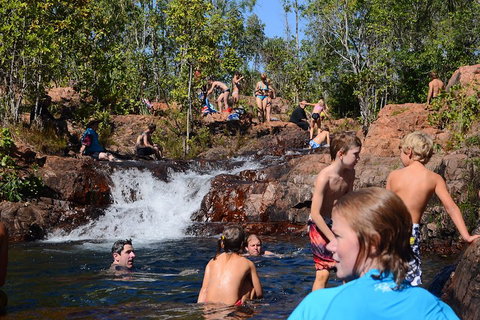 Litchfield And Jumping Crocodiles Full Day Trip From Darwin - St Kilda Accommodation 5