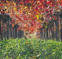 Margaret River Private Tour - St Kilda Accommodation