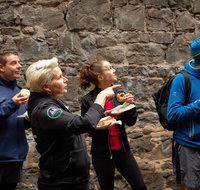 History  Donuts Walking Tour - St Kilda Accommodation