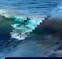 Great Ocean Road Highlights Tour - 2 Days 1 Night - St Kilda Accommodation