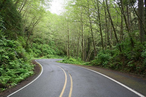 Great Ocean Road Highlights Tour - 2 Days, 1 Night - St Kilda Accommodation 4