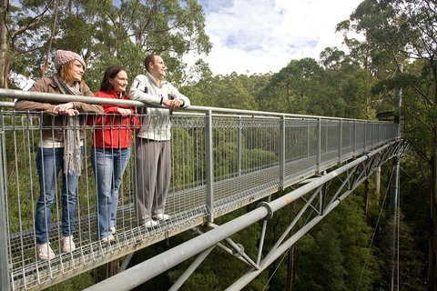 Adventure Sunset Three Day Great Ocean Road Tour - St Kilda Accommodation 0