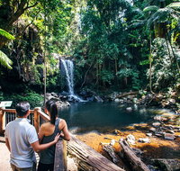 Aquaduck  Your choice of Gold Coast Rainforest Tour - St Kilda Accommodation