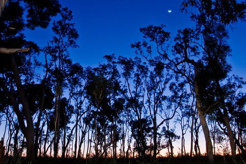Small-Group Kangaroo Island 4WD Night Tour - St Kilda Accommodation 2
