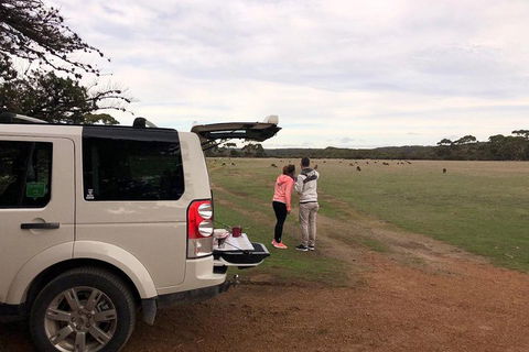 Kangaroo Island 4WD Tour - Flinders Chase - St Kilda Accommodation 3