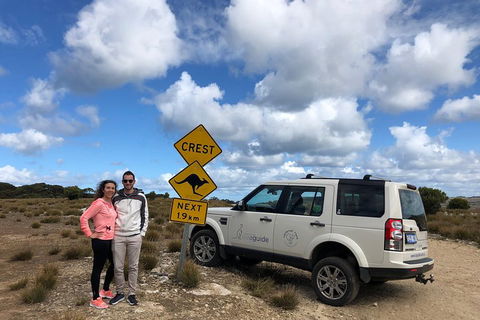 Kangaroo Island 4WD Tour - Best Of KI - St Kilda Accommodation 5