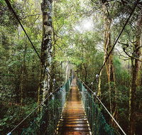 O'Reilly's  Lamington National Park from Gold Coast - St Kilda Accommodation