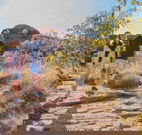 Kings Canyon Day Trip from Ayers Rock Uluru - St Kilda Accommodation