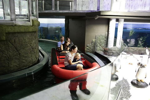 Sydney Attractions Pass: SEA LIFE Aquarium, Sydney Tower Eye, WILD LIFE Zoo And Madame Tussauds - St Kilda Accommodation 0