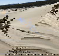 Port Stephens Bush Beach and Sand Dune 4WD Tag-Along Tour - St Kilda Accommodation