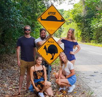 Cape Tribulation Daintree Rainforest and Wildlife Tour - St Kilda Accommodation