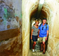 Rottnest Island Historical Train and Tunnel Tour from Hillarys Boat Harbour - St Kilda Accommodation