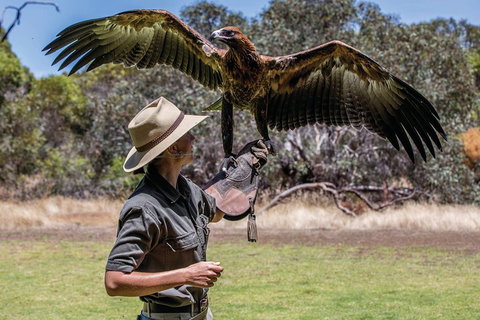 One Day Kangaroo Island Sip & See Tour With Return Ferry Transfers From Adelaide - St Kilda Accommodation 0