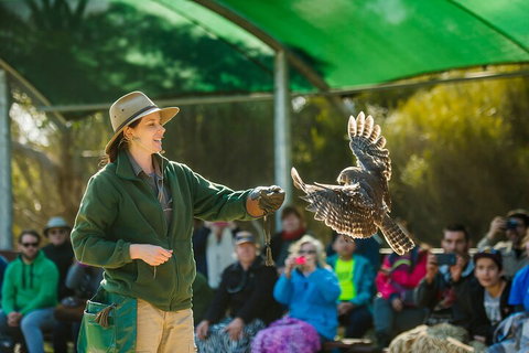 One Day Kangaroo Island Sip & See Tour With Return Ferry Transfers From Adelaide - St Kilda Accommodation 3