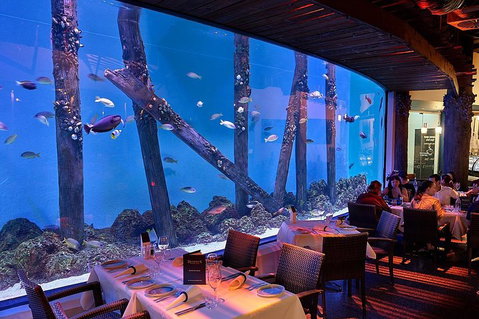 Cairns Aquarium And Small Group City Sightseeing Tour - St Kilda Accommodation 4