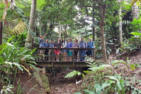 Cairns Shore Excursion: Cairns City Sights & Surrounds Tour - St Kilda Accommodation 1