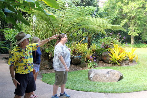 Cairns Shore Excursion: Cairns City Sights & Surrounds Tour - St Kilda Accommodation 4