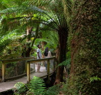 Great Ocean Road to Grampians 2 Day 1 Night Tour from Melbourne to Adelaide - St Kilda Accommodation