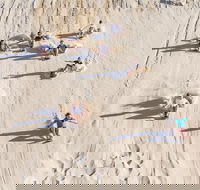 Unlimited Sandboarding - St Kilda Accommodation