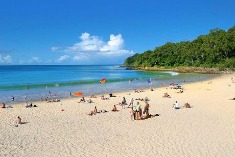 Noosa Everglades Serenity Cruise & Highlights Tour Inc. Lunch & Cruise - St Kilda Accommodation 4