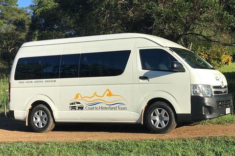 Noosa Everglades Serenity Cruise & Highlights Tour Inc. Lunch & Cruise - St Kilda Accommodation 5