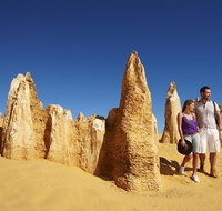 Pinnacles Day Trip from Perth Including Yanchep National Park - St Kilda Accommodation