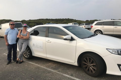 Full-Day Private Australian Wildlife Tour Of Phillip Island - St Kilda Accommodation 1