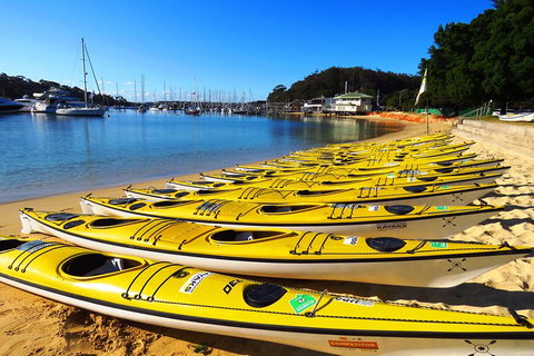Self-Guided Sydney Middle Harbour Kayak 3 Hour Tour By Double Kayak - St Kilda Accommodation 4