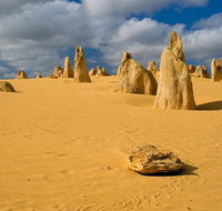 The Pinnacles Sea and Dunescapes Bush Reserve and Sunset Day Tour - St Kilda Accommodation