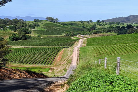 The Complete Hunter Valley Wine Tour Of Pokolbin, Mt View, Lovedale And Rothbury - St Kilda Accommodation 0