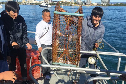 Crab Trip From Gold Coast - St Kilda Accommodation 1