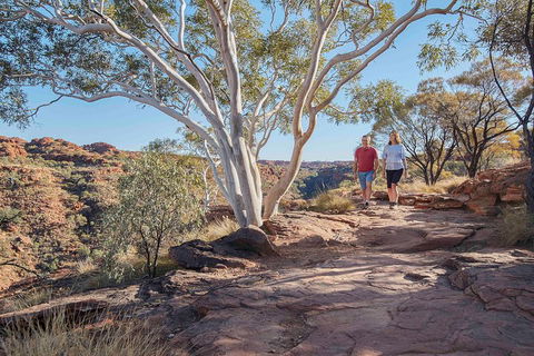 3-Day Tour From Uluru (Ayers Rock) To Alice Springs Via Kings Canyon - St Kilda Accommodation 1