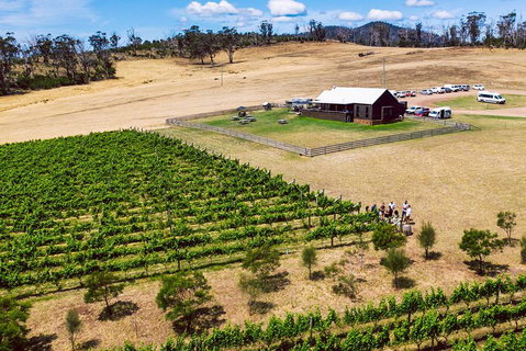 Tasmanian Wine Tour - St Kilda Accommodation 3