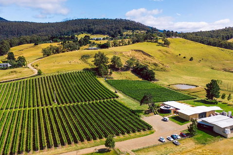 Tasmanian Wine Tour - St Kilda Accommodation 4