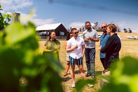 Tasmanian Wine Tour - St Kilda Accommodation 5
