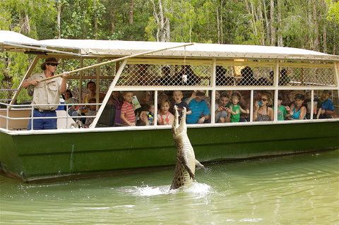 Hartley's Crocodile Adventure Half-Day Tour - St Kilda Accommodation 0
