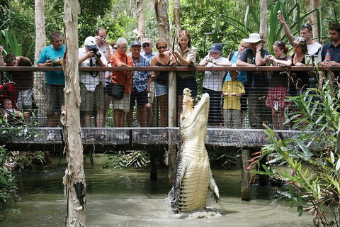 Hartley's Crocodile Adventure Half-Day Tour - St Kilda Accommodation 1