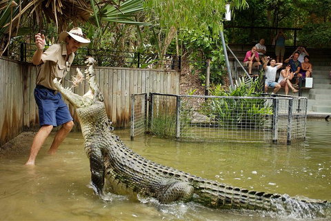 Hartley's Crocodile Adventure Half-Day Tour - St Kilda Accommodation 2
