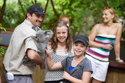 Hartley's Crocodile Adventure Half-Day Tour - St Kilda Accommodation 3