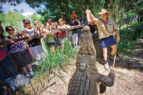 Hartley's Crocodile Adventure Half-Day Tour - St Kilda Accommodation 4