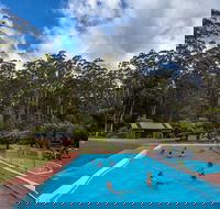 Tahune Airwalk Active Day Trip from Hobart Including Hastings Caves - St Kilda Accommodation