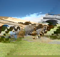 Richmond Historic Afternoon Tour from Hobart - St Kilda Accommodation