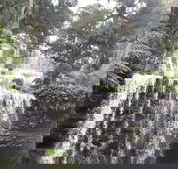 6-Day Hearty Tasmania Tour Tasmania in a Circle - St Kilda Accommodation