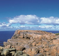 4 Day Tour Albany Margaret River Valley of the Giants TreeTop Walk from Perth - St Kilda Accommodation