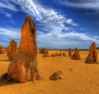 Pinnacles Desert  New Norcia Day Tour from Perth - St Kilda Accommodation