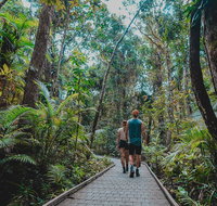 Full Day Cooktown Private Tour - St Kilda Accommodation